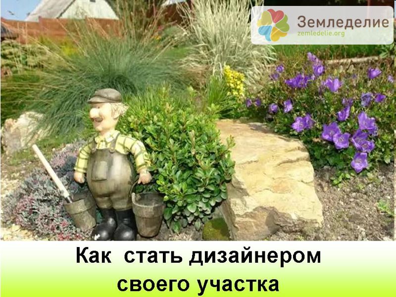 Вот такой дачный ландшафт