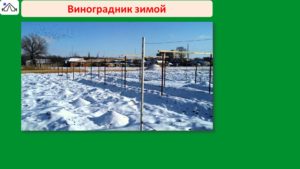 Слайд10