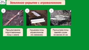 Слайд11