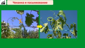 Слайд24