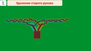 Слайд24