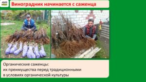Слайд3