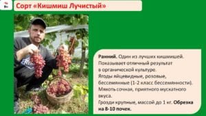 Слайд30