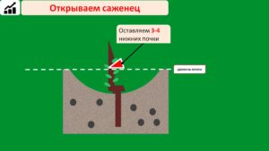 Слайд5