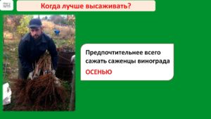 Слайд5