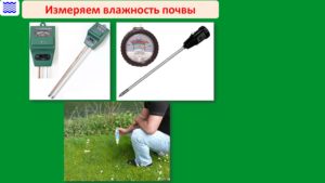 Слайд6