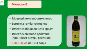 Слайд9