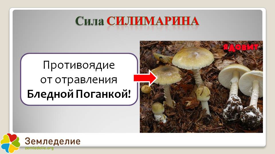 Против отравлений