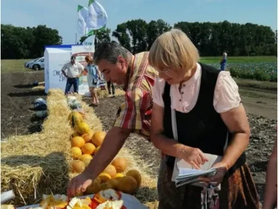 Арбузное кафе и достижения нашей селекции 10
