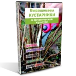 Онлайн курс по профессиональному выращиванию популярных ягодных кустарников органическими методами