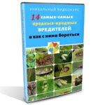 Боремся с вредителями в органическом земледелии. 14 самых вредных вредителей