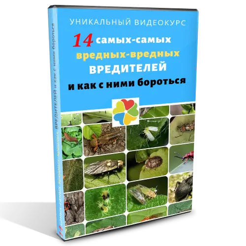 Боремся с вредителями в органическом земледелии. 14 самых вредных вредителей
