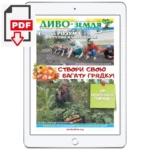 Годовая подписка на газету Диво-Земля