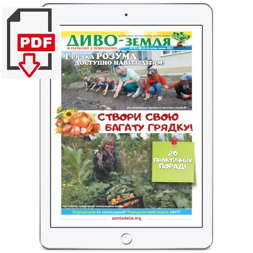 Годовая подписка на газету Диво-Земля