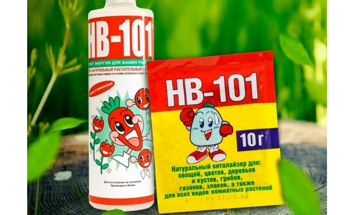 hb-101-статья