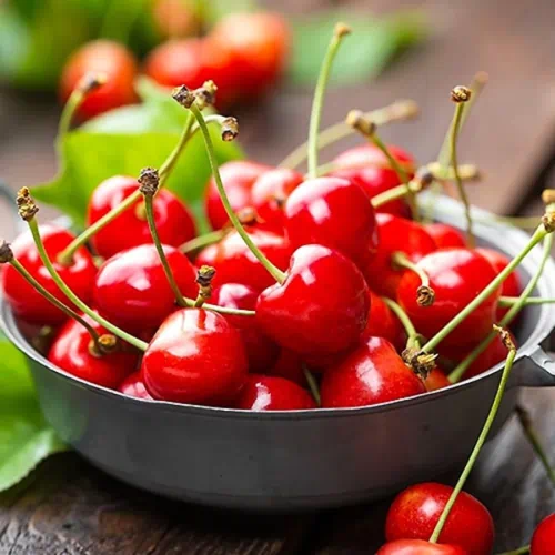 Черешня сорт Майская ранняя (майка, мать)