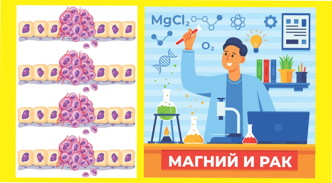 Магний и рак. Статья о здоровье