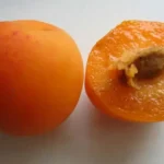 Абрикос Бетти Кот (априум) абрикос+слива — изображение 2