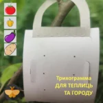 Trichogramma achaeae Трихограмма Ахея от гусеницы Американской томатной моли (Tuta Absoluta) 2-х сроков отрождения