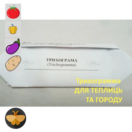 Trichogramma achaeae Трихограмма Ахея от гусеницы Американской томатной моли (Tuta Absoluta) для защиты 10 соток огорода или 5 соток теплиц
