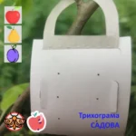 Трихограмма Кацеция от плодожорки САДОВАЯ Trichogramma cacaeciae