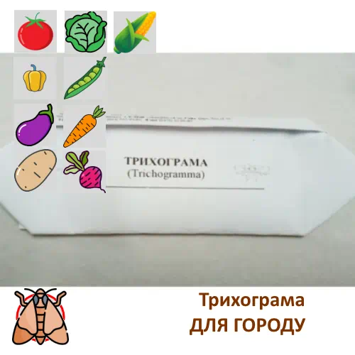 Trichogramma evanescens Трихограмма Эванесенс от многих видов совок хлопковая, гороховая, огородная, озимая, восклицательная, картофельная и т.д. для защиты 10 соток огорода