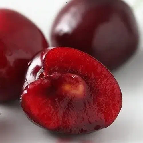 Вишня сорт Келлерис 16 (Kelleriis 16)